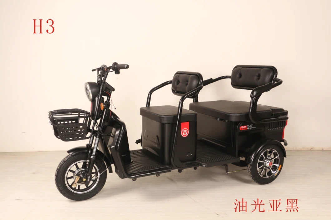 500W Cargo Electric Three Wheeler Auto Rickshaw with 48V60V Battery