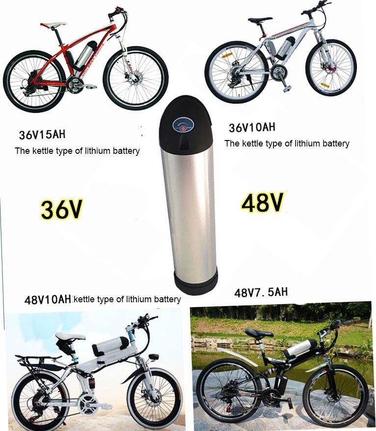 Hot Sell 48V 12ah Lithium Ion Battery Pack LiFePO4 Battery Pack for Electric Bike Battery