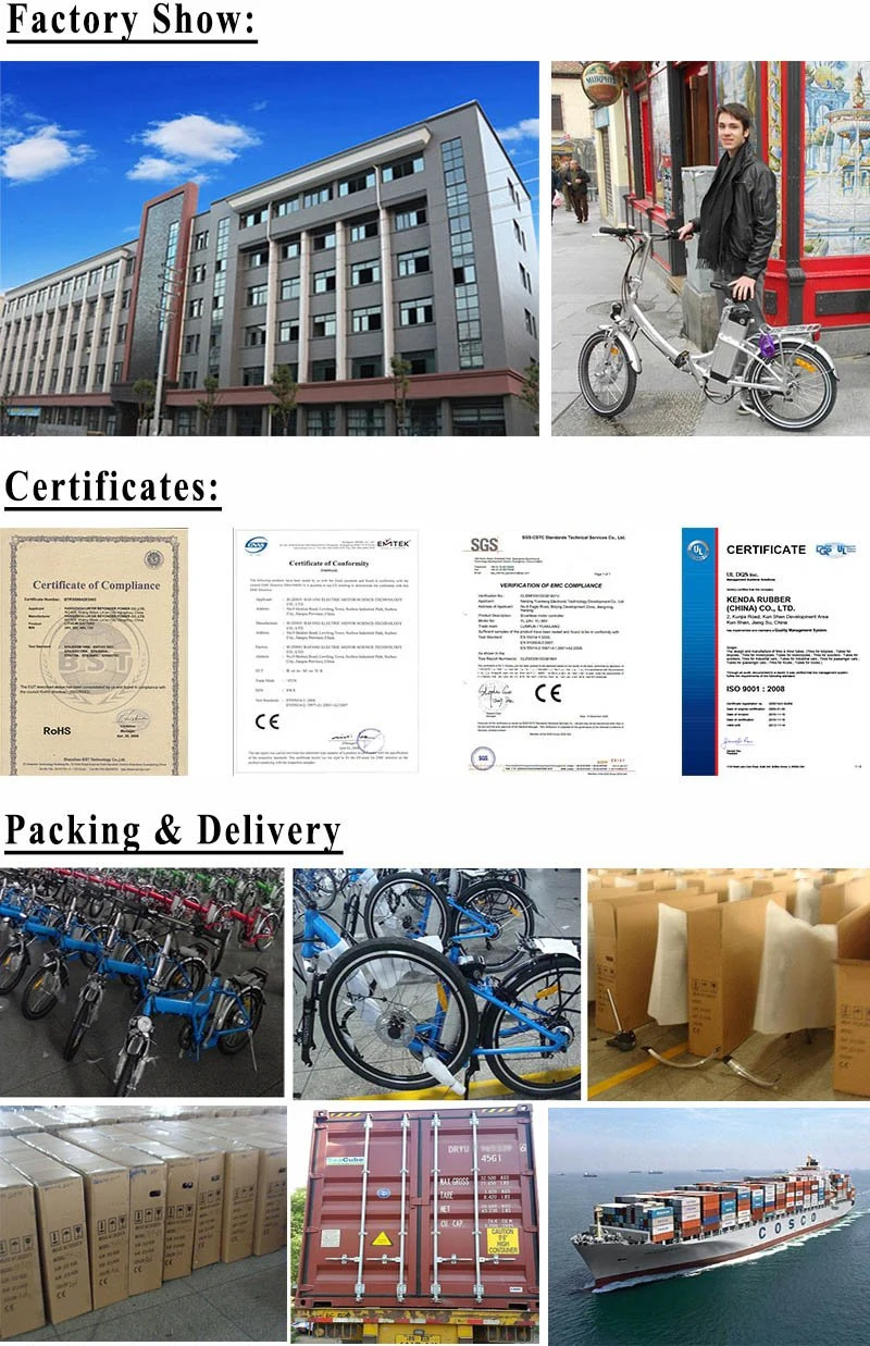20'' Foldable Electric Bicycle Lithium Battery Power E Bike