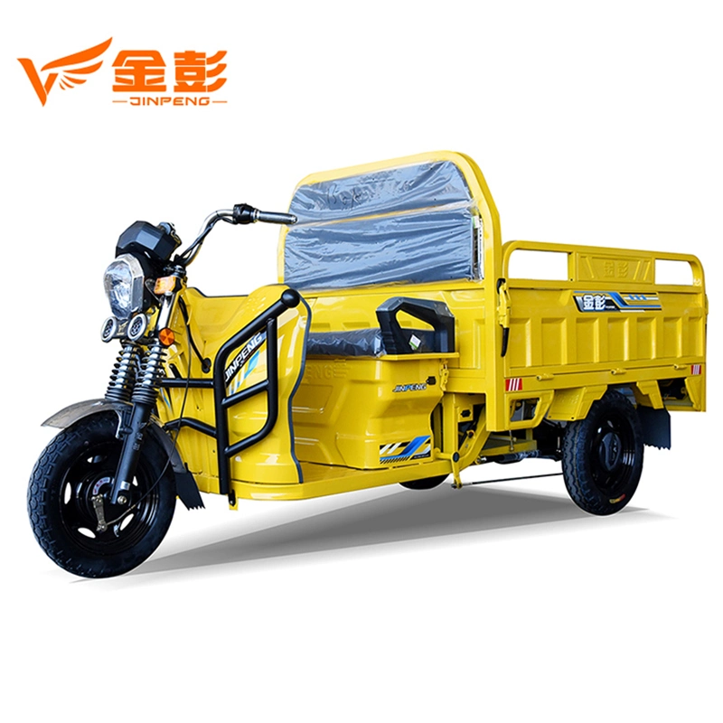 Cargo Tricycle 48V 60V Lead-Acid Battery Three Wheeler Cargo Rickshaw Electric Tricycle