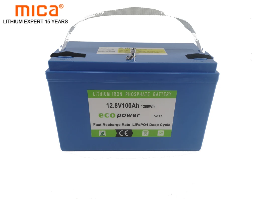 12V Lithium Ion Battery LiFePO4 Battery 12V 100ah with Bluetooth Lithium-Ion-Battery