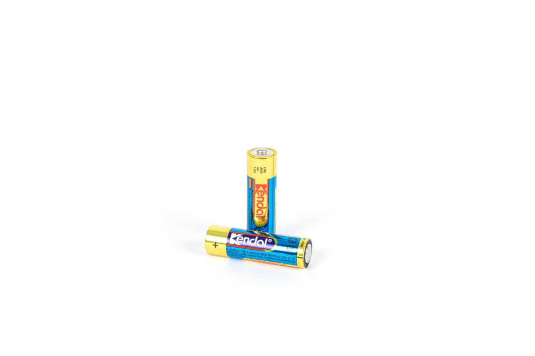 China Primary Battery Manufacturer Supply AA 1.5V Dry Batteries Lr6 Alkaline Battery for Thermometer Battery