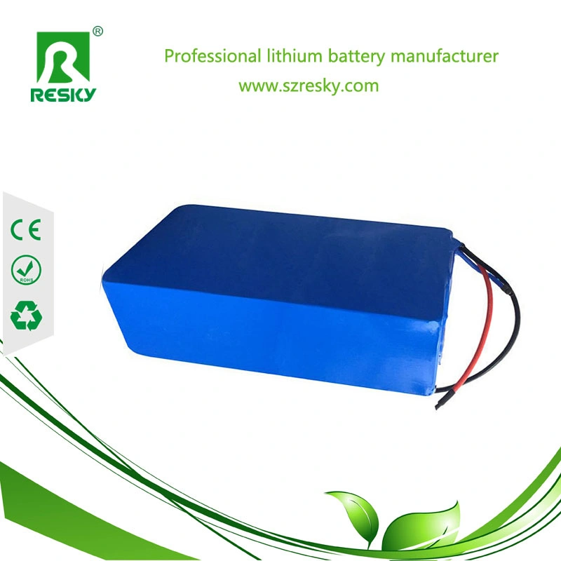 48V 20ah 1000W Lithium Ion Battery for Golf Cart /Trolly