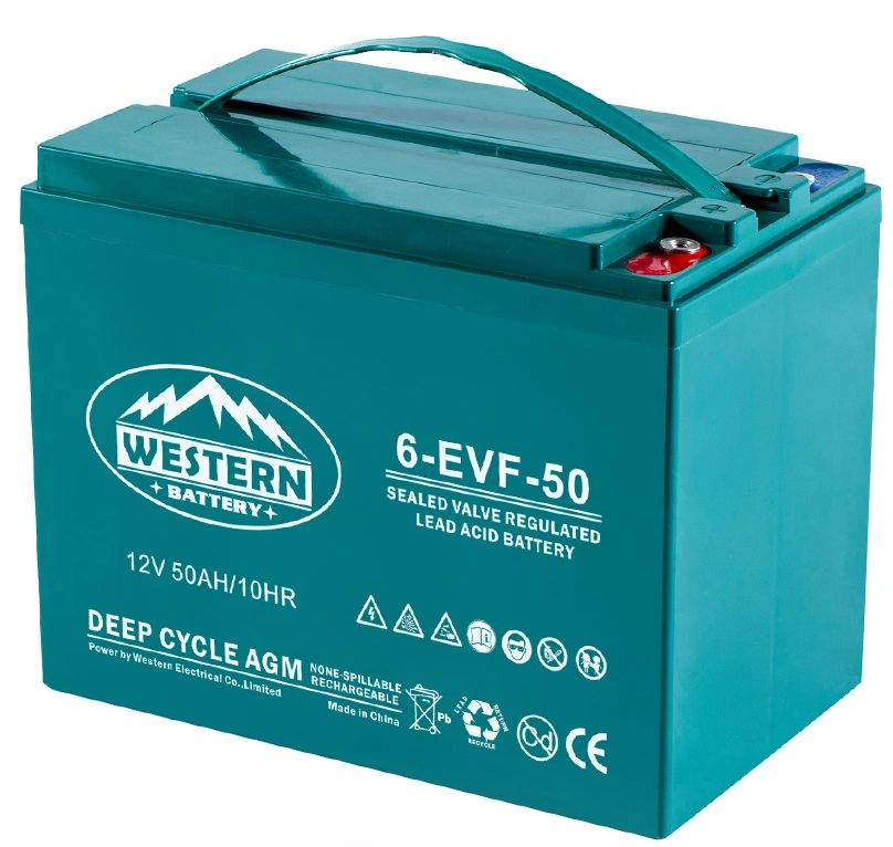 12V/50ah SLA/AGM Electric Auto E-Rickshaw Battery Tricycle Vehicle Traction Battery