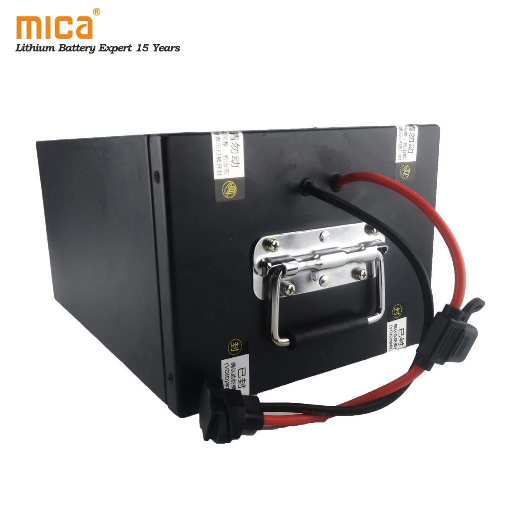Rickshaw Battery 60V 50ah Lithium Ion LiFePO4 Battery Pack for Tricyle Overland Bike Auto Baja