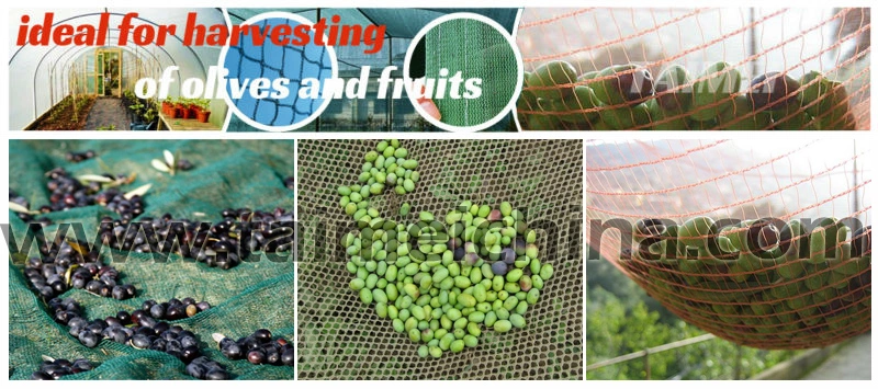 HDPE Agricultural Fruit/Olive Net/Harvest Net/Collection Net