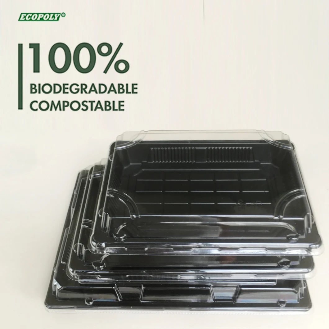 Food Grade Printing Base Plastic Disposable Sushi Container/Sushi Tray/Sushi Packaging