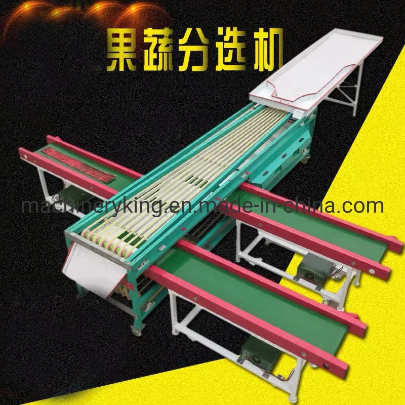 High Standard in Quality Tomato Fruit Grading Machine