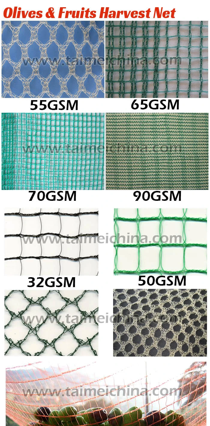 HDPE Agriculture Fruit/Olive Net/Harvest Nets/Collection/Collecting Net