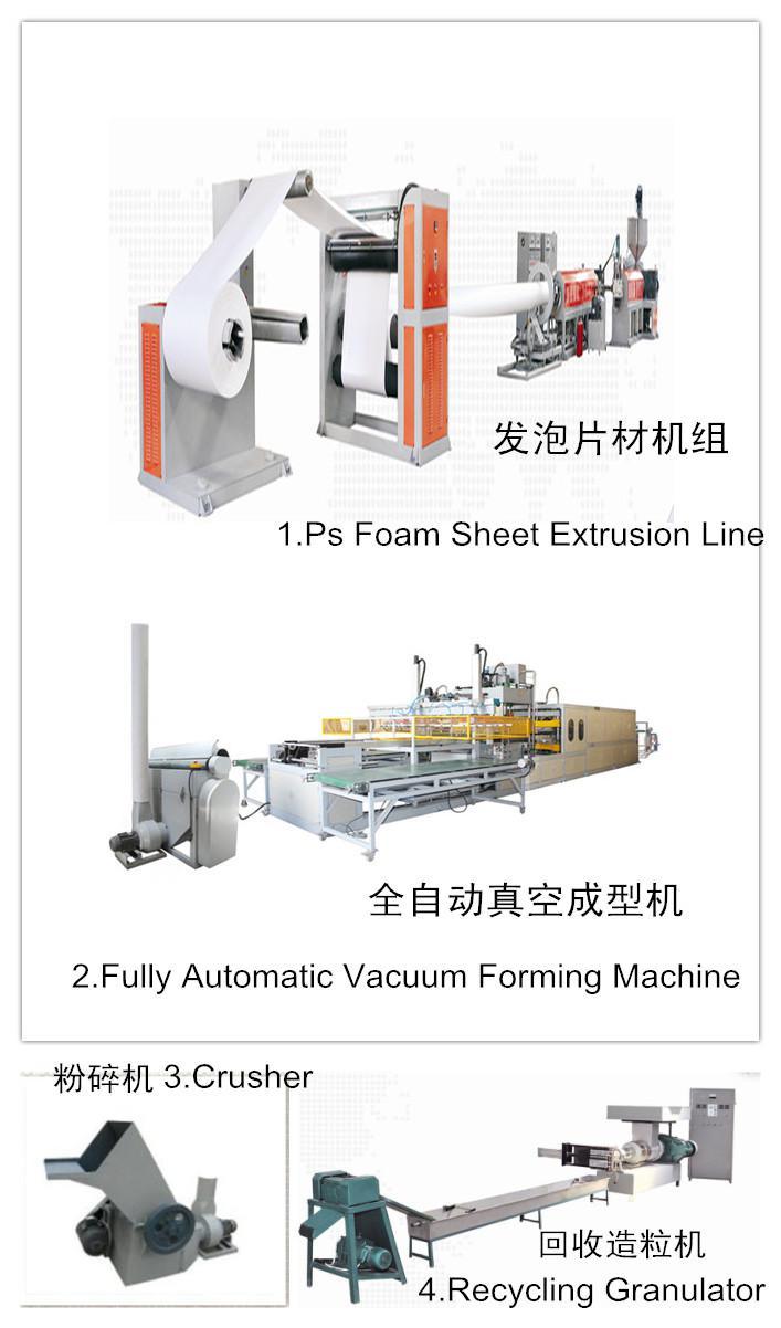 Fully Automatic Disposable Food Box Production Line