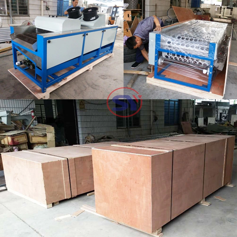 Washing Drying Waxing Grading Sorting Machine for Round Oval Fruit