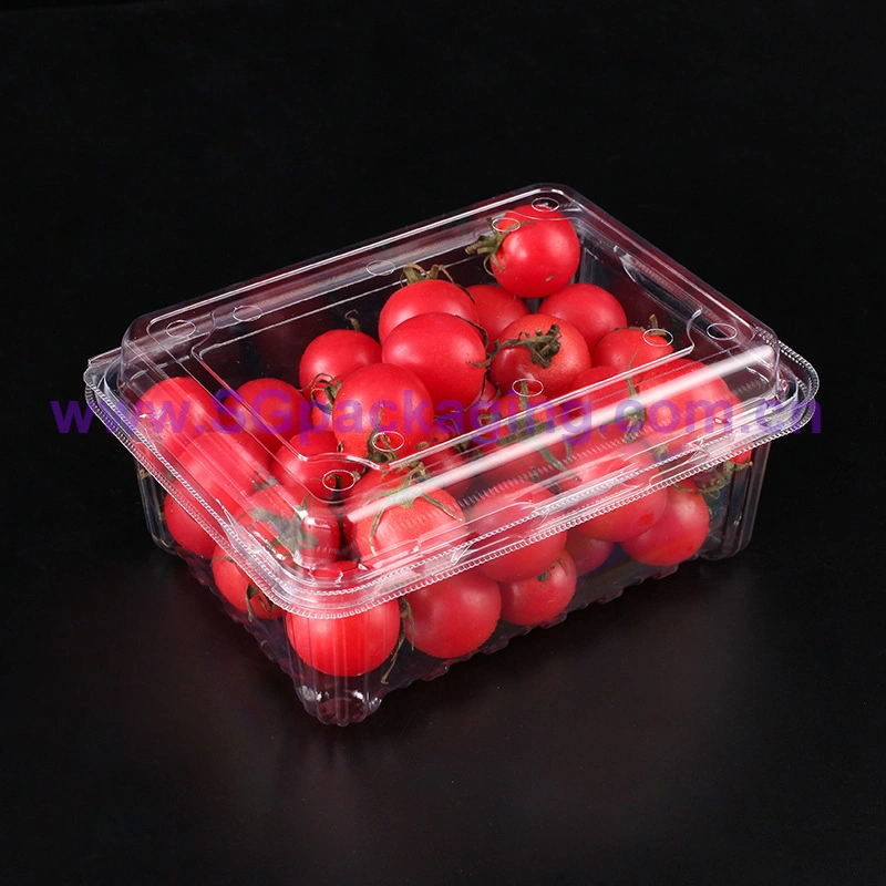 Microwave Clear Disposable PP Plastic Food Container with Lid