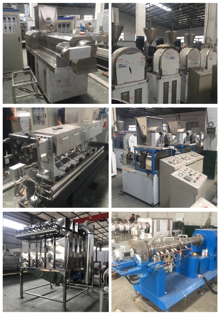 Snack Food Production Line Puffed Leisure Snack Food Extruder Machine