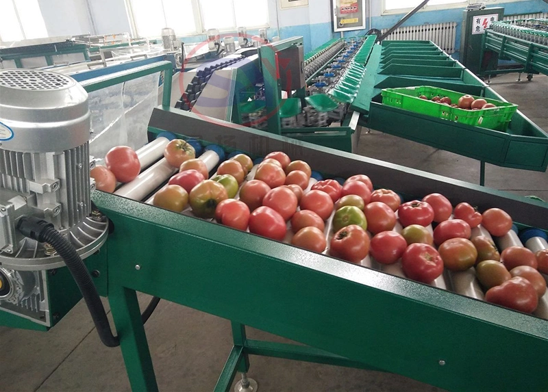 Hot Sale Fruit Electric Weight Grading Sorting Selecting Machine for Farm