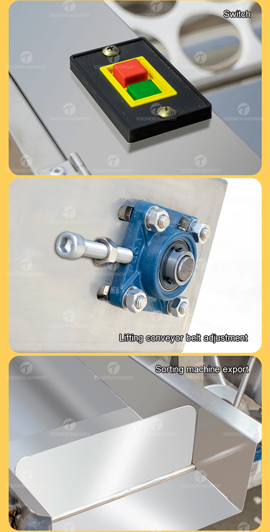 Passion Fruit Apple Pear Kiwi Fruit Sorting Machine Potato Grading Machine Food Processing Machine (TS-FS670)
