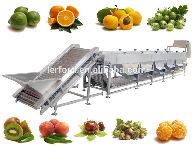 Fruit Vegetable Processing Machines Apple Washing Drying Waxing Sorting Machine