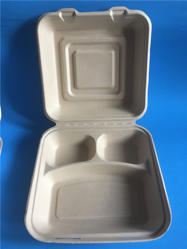 Bagasse Food Packing Box 3 Cells Fast Food Container Take Away Food Box 10 Inch