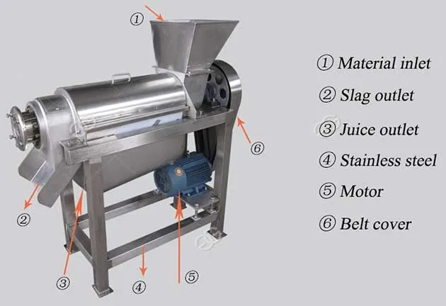 How to Use Fruit Juice Machine Making Fruit Juice Machine for Business