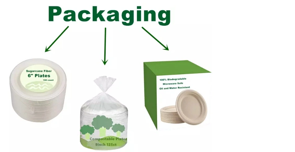 Sugarcane Pulp Disposable Hamburger Packaging Box for Fast Food Packaging 6 Inch Food Container