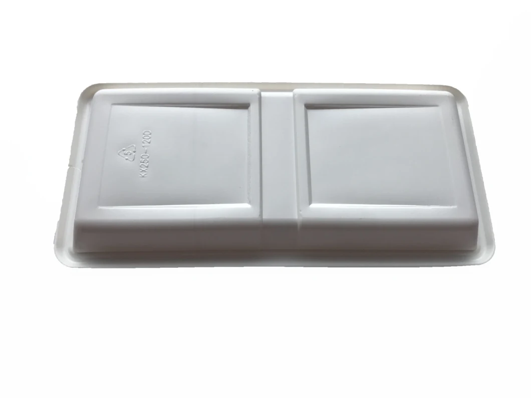 Food Tray Japanese Food Packaging Container Disposable Plastic Packing Lunch Tray
