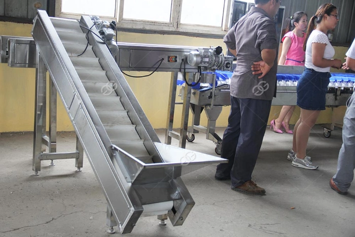 Automatic Fruit Sorting Machine for Fruit Sorting and Grading