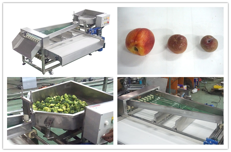 Industrial Tomato Cherries Carrot Vegetable and Fruit Grading Machine