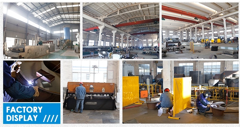 Agriculture Food Vegetable Fruit Drying Processing Making Freeze Dryer Machine