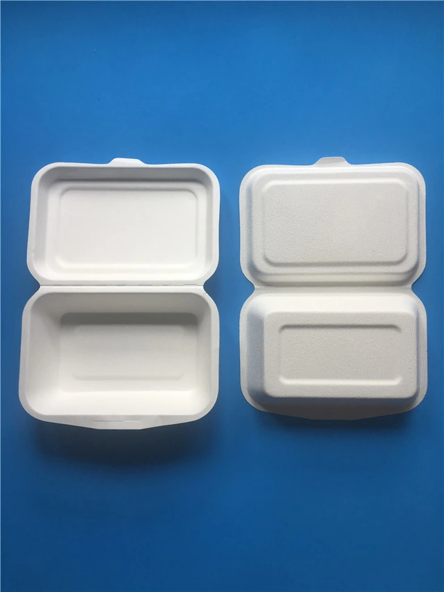 Disposable Bagasse Food Packing Container Take Away Packing Box Fast Food Container