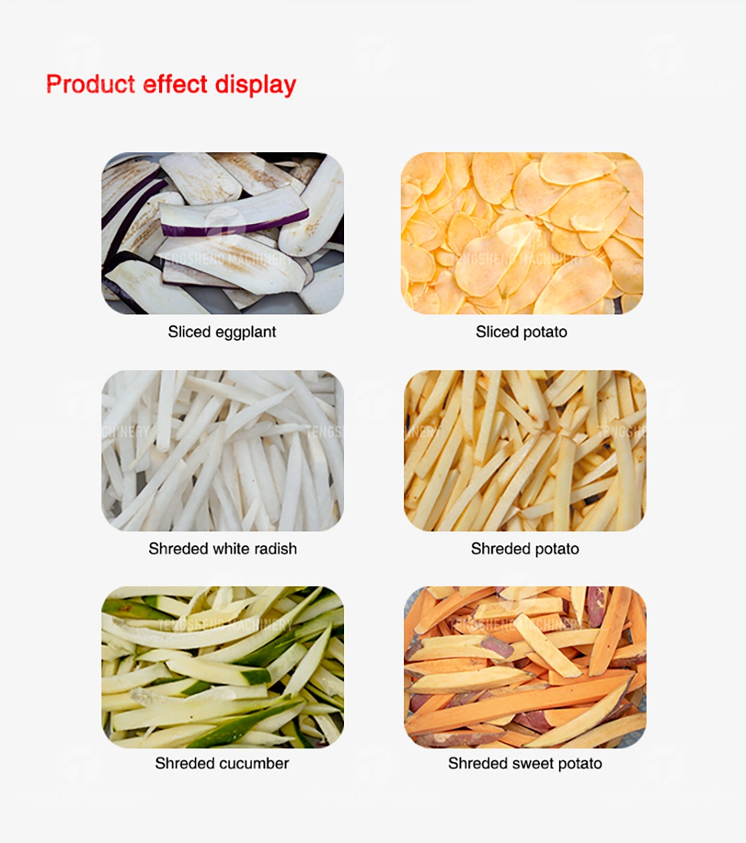 Industrial Potato Chip Making Machine Fruit and Vegetable Cutting Machine (TS-Q128)