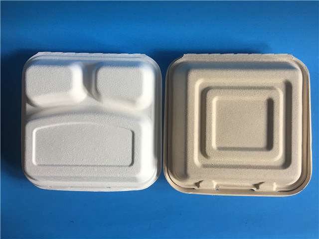 Bagasse Food Packing Box 3 Cells Fast Food Container Take Away Food Box 10 Inch