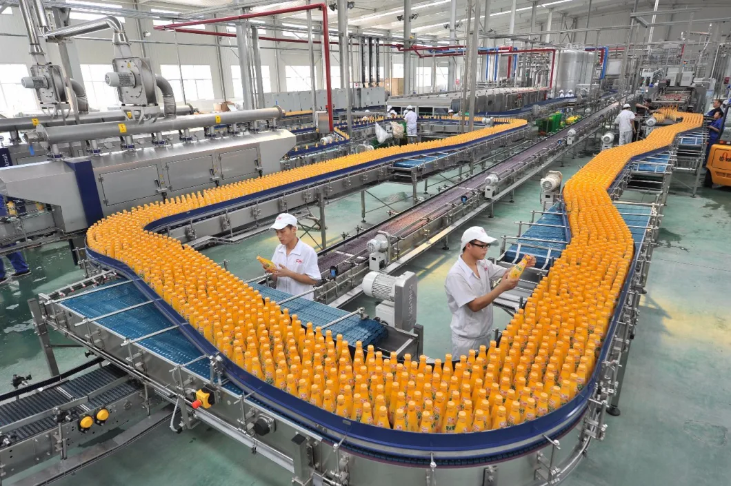 Multi-Functional Banana Puree and Banana Milk Production Machinery