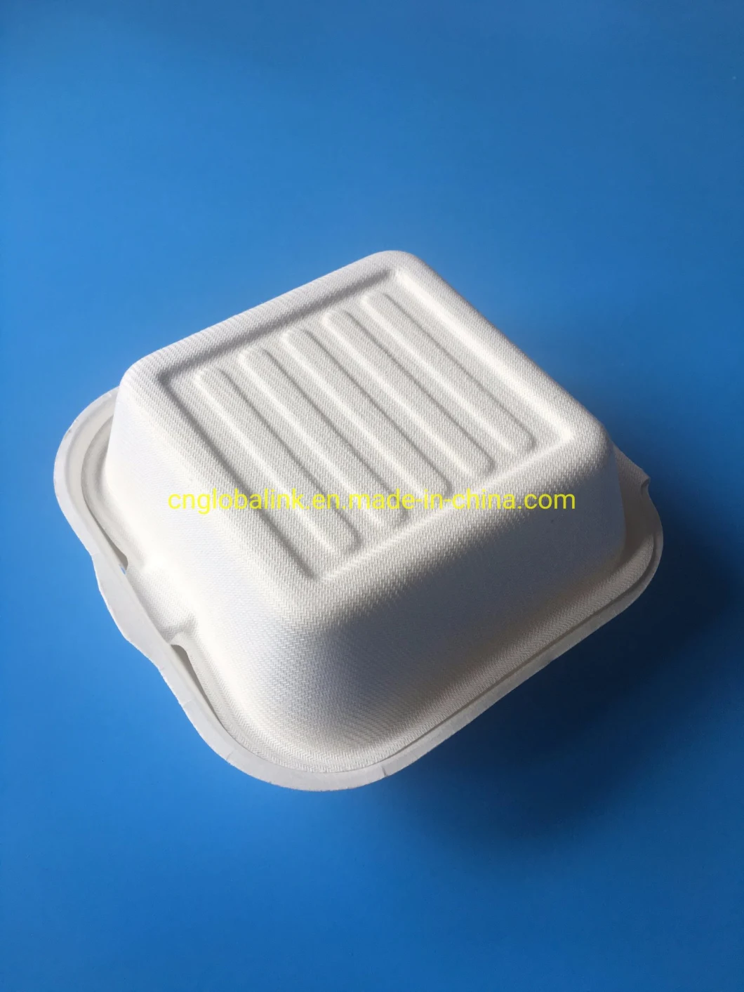 Sugarcane Bagasse Food Packaging Container Take Away Fast Food Container