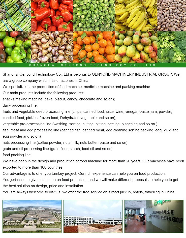 Vegetable and Fruit Processing Machine