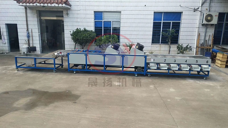 Good Quality Cirtus Orange Selecting Machine Fruit Vegetable Sorting Grading Machine