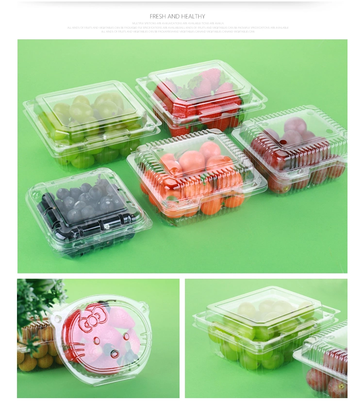 Automatic Plastic Container Clamshell Box Thermoforming Fomring Making Machine for Packing Fresh Food Fruit Vege