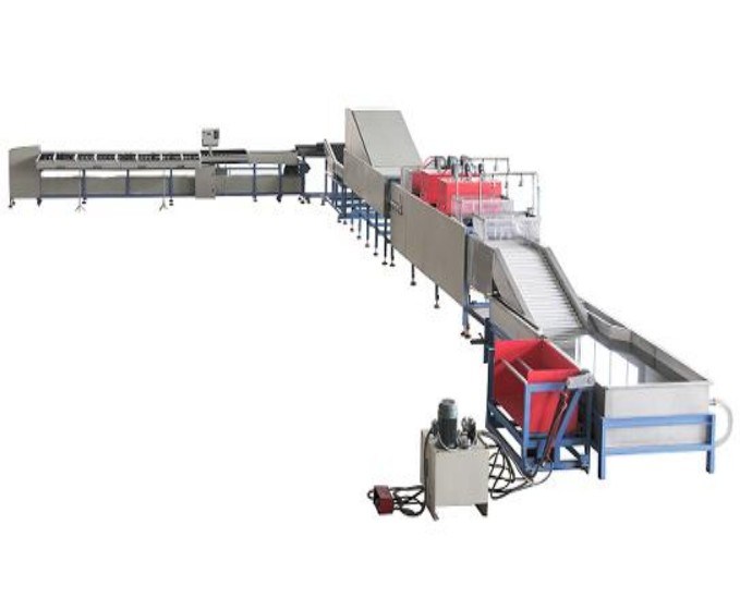 Fruit & Vegetable Washing / Waxing / Grading / Sorting /Processing Machine for Sale