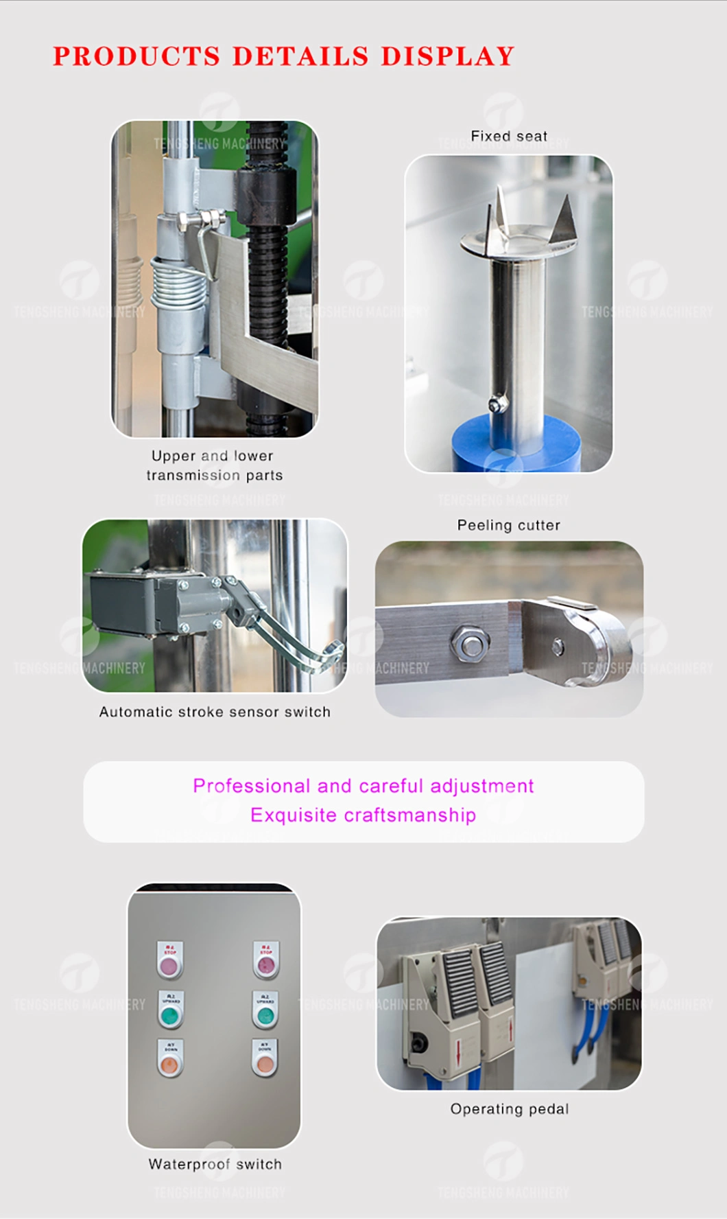 Industrial Vegetable Peeler Double-Head Electric Peeler Large Melon and Fruit Processing Machine (TS-P100)