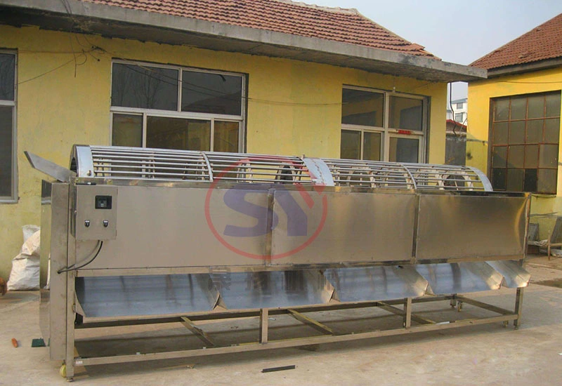 Automatic Garlic Selecting/Sorting/Grading Machine with High Quality