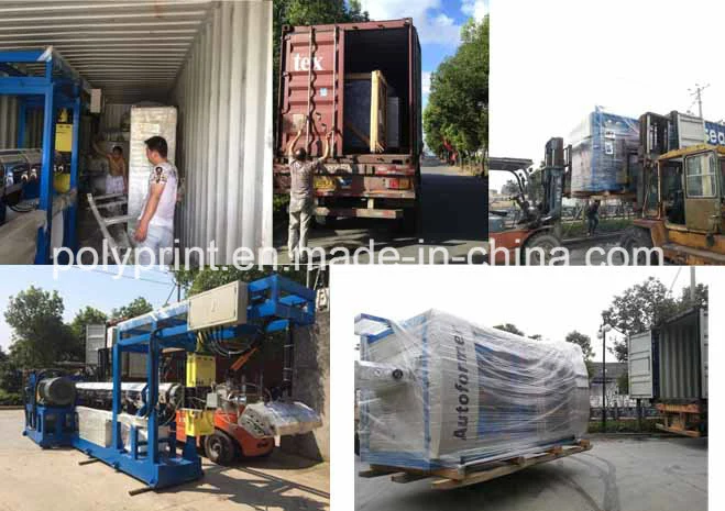 Food Container Box Drug Blister Packing Making Machine