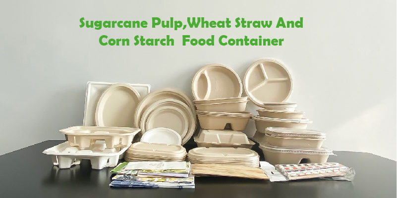 Straw Pulp Food Container Disposable Food Container