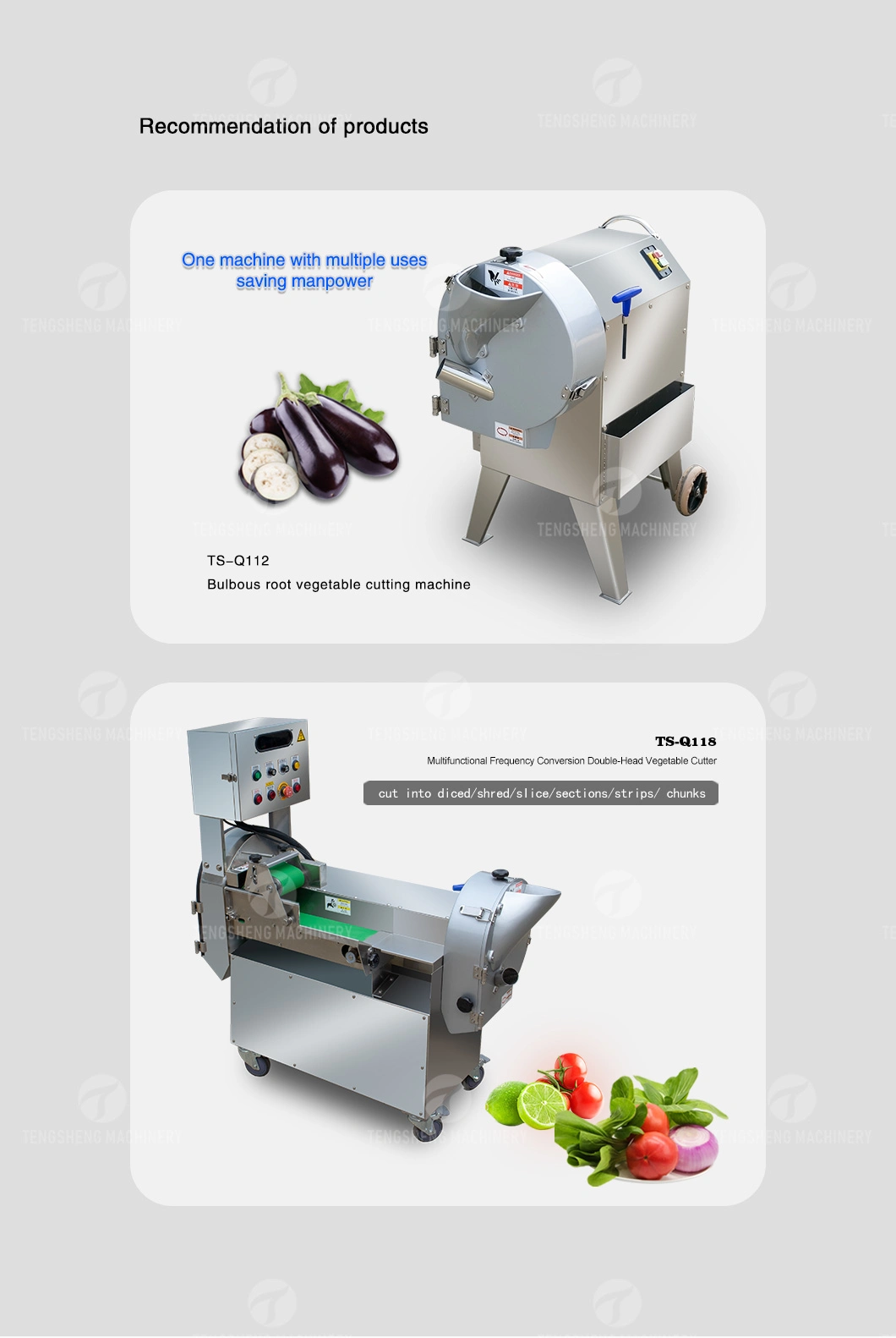 Multifunction Root Vegetable Chopping Machine Lemon Slicing Machine Fruit Processing Machine (TS-Q311)