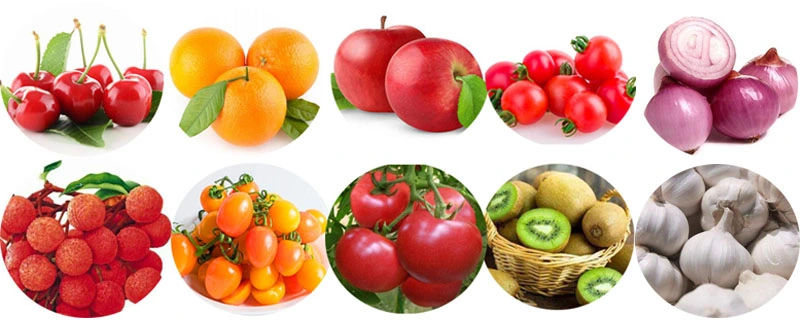 Vegetable Sorter Selecting Fruit Sorting Classifier Sizer Machine