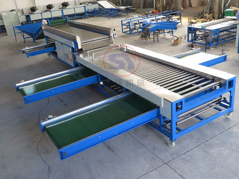 Fully Automatic Industrial Fruit Grading Sorter Line Fruit&Vegetable Processing Machine