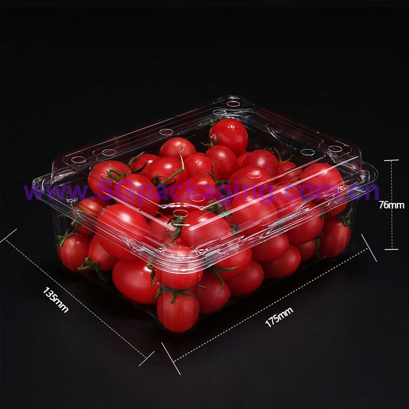Microwave Clear Disposable PP Plastic Food Container with Lid