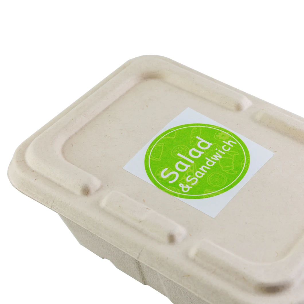 Eco Friendly Biodegradable Disposable Pulp Fast Food Container Disposable Microwave Food Container with Lid