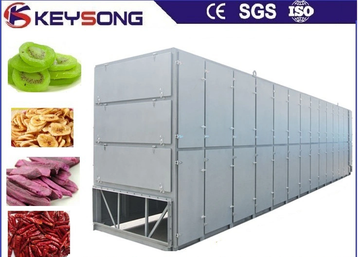 Mushroom Fruit Vegetable Drying Machine Food Processing Dehydrator