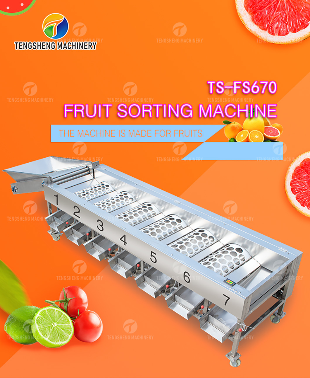 Industrial Passion Fruit Apple Pear Kiwi Fruit Sorting Machine Melon and Fruit Grading Machine Food Processing Machine (TS-FS670)