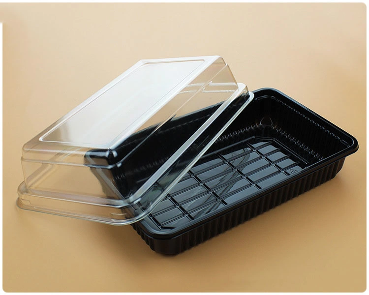 OEM Blister Food Container Cake Box Food Tray For egg tart Black Base