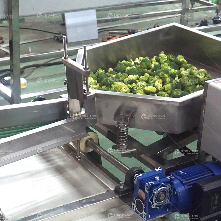 Belt Type Vegetable and Fruit Grading Machine Broccoli, Plum, Cherry Sorting Machine