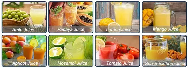 Commercial Fruit Juice Processing Machines|Fruit & Vegetable Juicer Price